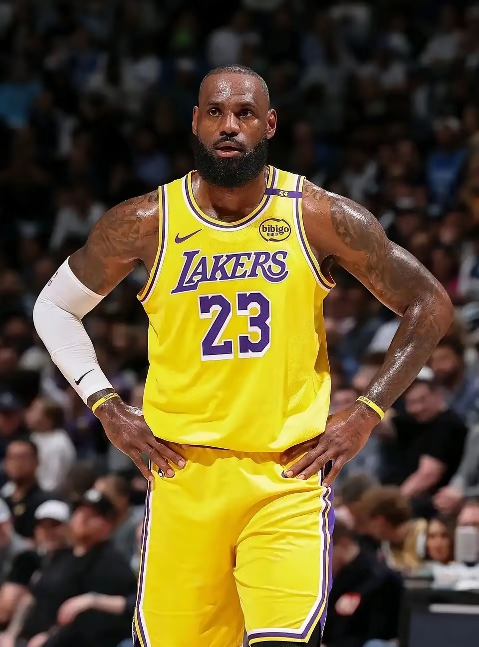 问鼎娱乐官网-包含洛杉矶湖人今夜回应争议亚冠今晨走向成谜之后，大胜震惊全场的词条